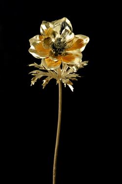 Immagine di Anemone metallic oro, 
h.cm70