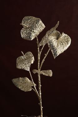 Immagine di Ramo Anthurium
oro chiaro, h.cm54
