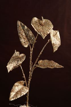 Immagine di Ramo Anthurium
oro/rame, h.cm54