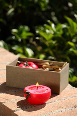 Immagine di S/2 Candele pomodoro,rosso,
in box,D 7cm H 6.5/7.5cm