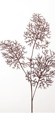 Immagine di Ramo glitter a tre foglie marrone cm87