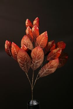 Immagine di Ramo foglie marrone/rame,
h.cm60