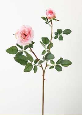 Immagine di Rosa x3 rami, 120cm