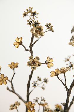 Immagine di Ramo h.93cm con piccoli fiori piatti 
di vetro color oro