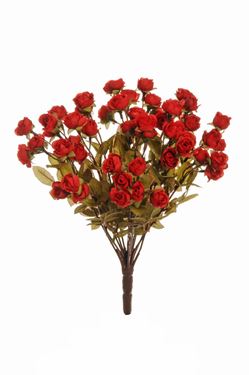 Immagine di Bush rose, rosso, H40cm