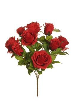 Immagine di Bush rose, 9 fiori, 
rosso, H43 cm