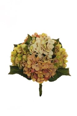Immagine di Mazzo ortensia 5 fiori giallo/crema/beige/verde e 5 foglie , h.38cm