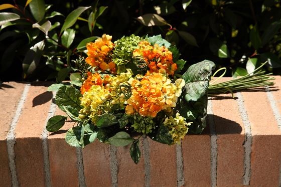 Immagine di Bush Hydrangea
arancio/giallo h.cm46