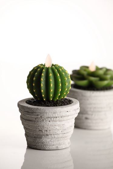 Immagine di Candela LED cactus,vaso cemento,verde,
D9cm