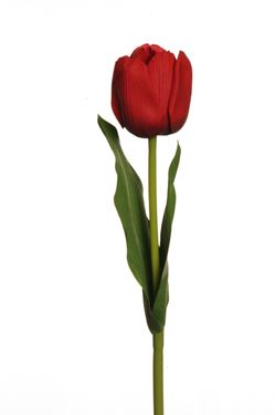 Immagine di Tulipano rosso, H48 cm