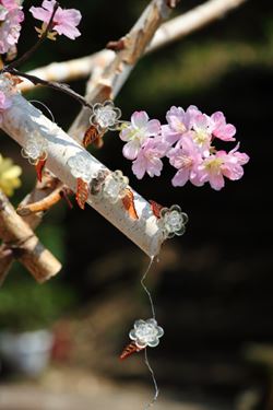 Immagine di Ghirlanda fiori e foglie,
crema, h. cm 200