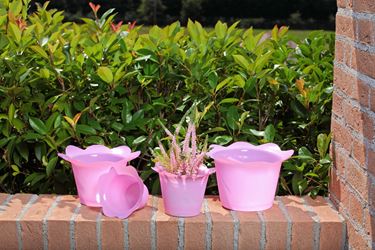 Immagine di Coprivaso DOLLY in plastica rosa
per vaso di diam. 17 cm