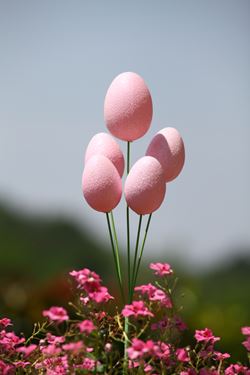 Immagine di Ramo x5 uova,rosa
L30; dim uova circa 5cm