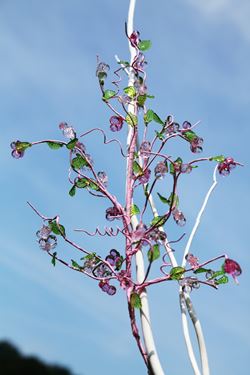 Immagine di Ramo rosa foglie verdi,
h. cm 65