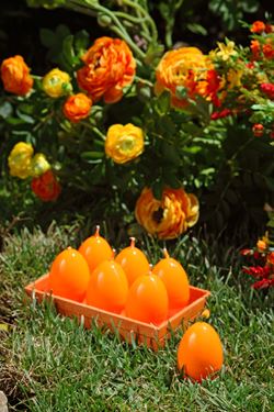 Immagine di S/6 Candele uovo effetto ceramica
h.6cm arancio (dim box cm16x11xh.6.5)