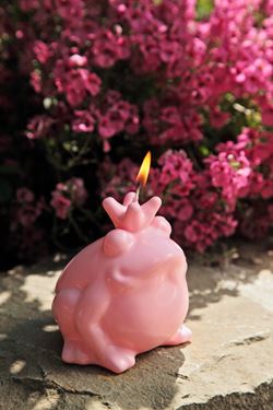 Immagine di Candela rana principe effetto
ceramica h.10cm, rosa