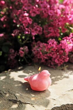 Immagine di Candela passero effetto
ceramica h.5.5cm, rosa