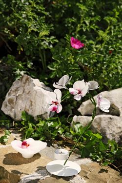 Immagine di Porta T-light Orchidea con 5 fiori 