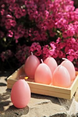 Immagine di S/6 Candele uovo effetto ceramica
h.6cm rosa (dim. box cm16x11xh.6.5)
