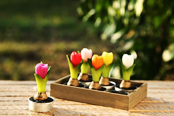 Immagine di Box 6 T-light tulipani, colori assortiti, h.8cm