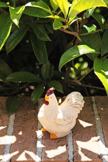 Immagine di Candela Gallina bianca/rossa/gialla
H 11cm.