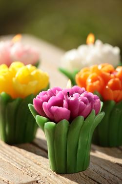 Immagine di Box 6 candele tulipani
col.ass. h.cm9