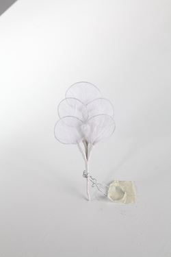 Immagine di Pick Foglie Organza x5 
h.16,5cm bianco