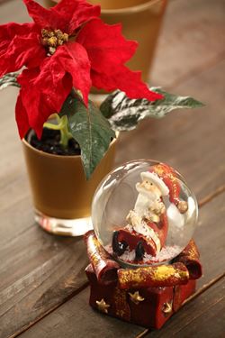 Immagine di Sfera di vetro Babbo Natale, 
h.cm12