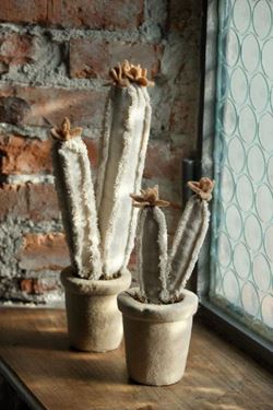 Immagine di Cactus in vasetto d.10xh.40cm