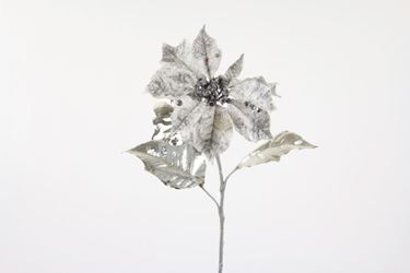 Immagine di Poinsettia argento,
h.cm69