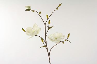 Immagine di Magnolia x3 con glitter, h.cm90 bianco