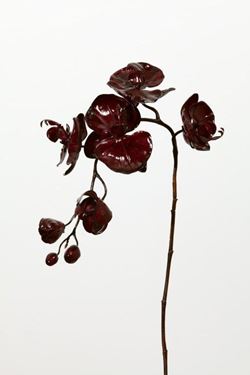 Immagine di Orchidea phalenopsis porcelain, h.cm77
viola