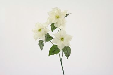Immagine di Ramo poinsettia x 3, h.cm66 bianco