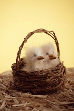 Immagine di Uccellino piumato su nido in canna
di bambu', diam.cm10xh.8.5