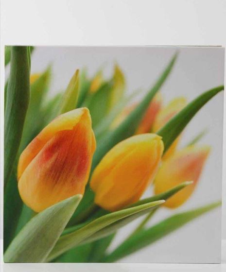 Immagine di Quadro tulipani gialli
cm 50 x 50