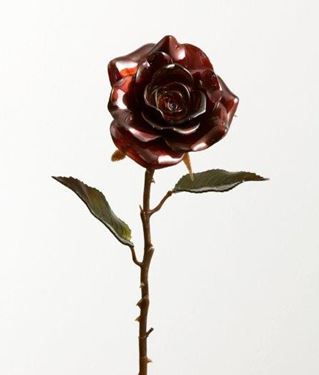 Immagine di Rosa pearl vitrum, h.cm68
viola