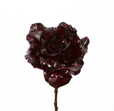 Immagine di Rosa porcelain, h.cm28
viola