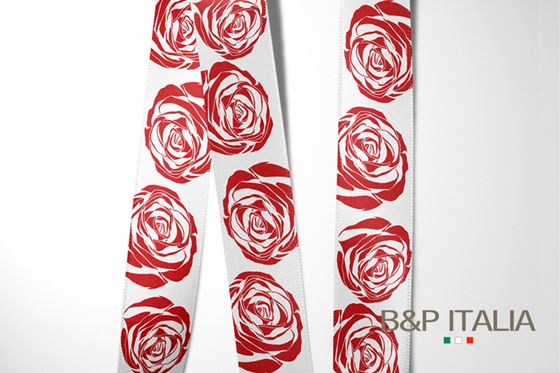 Immagine di NASTRO LA ROSA