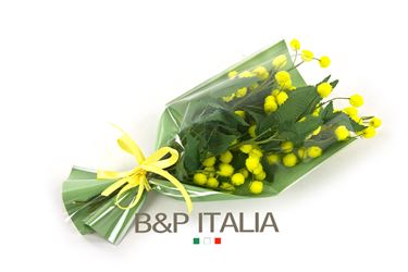 Immagine di BUSTA MIMOSA / LARGE / PROFUMATA