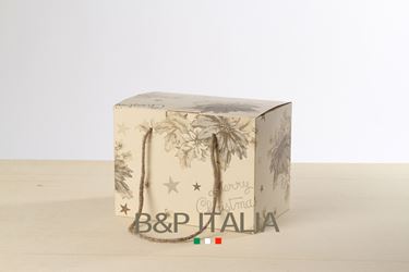 Picture of Box 30x18x30h, STELLA DI NATALE, champagne, steso